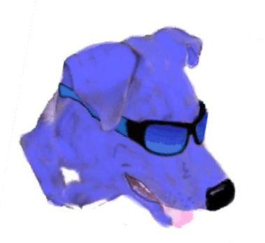 Buddy Rhodes, the coolest pup